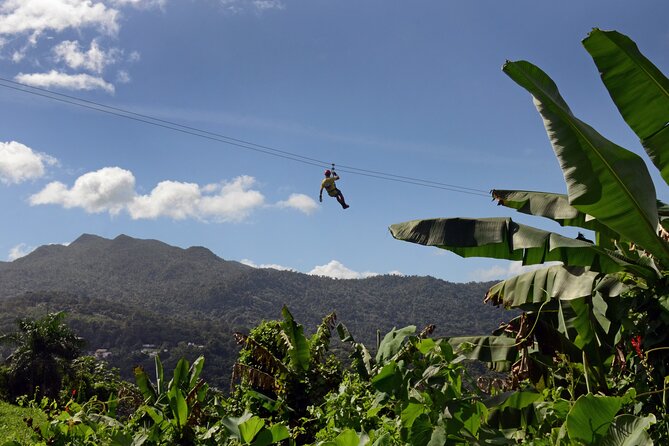 Ziplining at the Rainforest in Puerto Rico - The five ziplines, from 400 to 1,000 feet