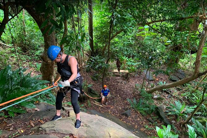 Ziplining at the Rainforest in Puerto Rico - The canopy bridge and optional rock rappel