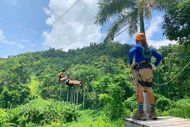 Ziplining at the Rainforest in Puerto Rico - What the $149 price really covers