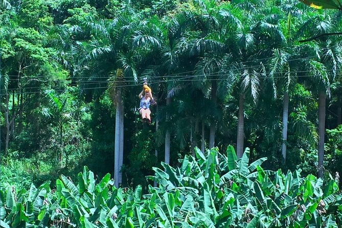 Ziplining at the Rainforest in Puerto Rico - Morning or afternoon: choosing the better session